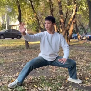 Ли Чаоян тренер китайских боевых искусств фото записи